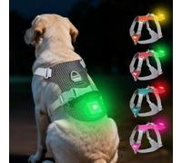 Joytale Arnés Ligero Luminoso para Perros con Soporte para Airtag, arnés Recargable LED Antideslizante con Caja de luz Desmontable, 4 Modos y 7 Colores, Negro, L