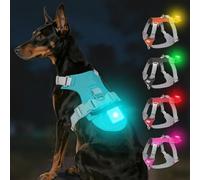 Joytale Arnés Ligero Luminoso para Perros con Soporte para Airtag, arnés Recargable LED Antideslizante con Caja de luz Desmontable, 4 Modos y 7 Colores, Azul, XL