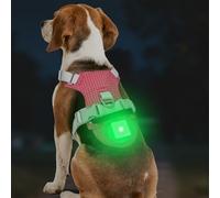 Joytale Arnés Ligero Luminoso para Perros con Soporte para Airtag, arnés Recargable LED Antideslizante con Caja de luz Desmontable, 4 Modos y 7 Colores, Rojo, M