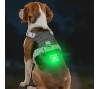 Joytale Arnés Ligero Luminoso para Perros con Soporte para Airtag, arnés Recargable LED Antideslizante con Caja de luz Desmontable, 4 Modos y 7 Colores, Negro, M