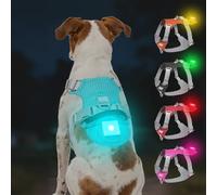 Joytale Arnés Ligero Luminoso para Perros con Soporte para Airtag, arnés Recargable LED Antideslizante con Caja de luz Desmontable, 4 Modos y 7 Colores, Azul, S