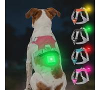 Joytale Arnés Ligero Luminoso para Perros con Soporte para Airtag, arnés Recargable LED Antideslizante con Caja de luz Desmontable, 4 Modos y 7 Colores, Rojo, S