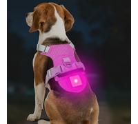 Joytale Arnés Ligero Luminoso para Perros con Soporte para Airtag, arnés Recargable LED Antideslizante con Caja de luz Desmontable, 4 Modos y 7 Colores, Rosa Caliente, M