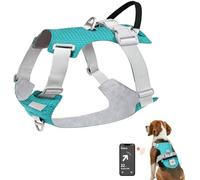 Joytale Arnés Ligero Luminoso para Perros con Soporte para Airtag, arnés Recargable LED Antideslizante con Caja de luz Desmontable, 4 Modos y 7 Colores, Azul, L