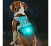 Joytale Arnés Ligero Luminoso para Perros con Soporte para Airtag, arnés Recargable LED Antideslizante con Caja de luz Desmontable, 4 Modos y 7 Colores, Azul, M