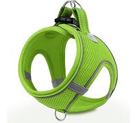 Joytale Arnes Perro, Reflectante Cómodo Transpirable Arnés, Perros Arneses Chaleco para Gato y Cachorros Perro, Verde, XXS