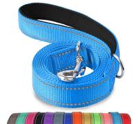 Joytale Correa para Perro Reflectante de Doble Cara, Correa para Perros con Mango Acolchado, Correa de Adiestramiento para Perros Pequeños y Perrito, 120×2cm, Cielo Azul