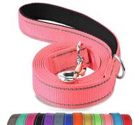 Joytale Correa para Perro Reflectante de Doble Cara, Correa para Perros con Mango Acolchado, Correa de Adiestramiento para Perros Grandes y Medianos, 120×2.5cm, Rosa