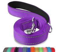 Joytale Correa para Perro Reflectante de Doble Cara, Correa para Perros con Mango Acolchado, Correa de Adiestramiento para Perros Pequeños y Perrito, 150×2cm, Morado