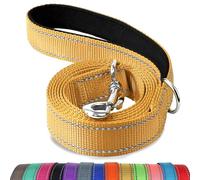 Joytale Correa para Perro Reflectante de Doble Cara, Correa para Perros con Mango Acolchado, Correa de Adiestramiento para Perros Pequeños y Perrito, 150×2cm, Marrón
