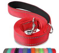Joytale Correa para Perro Reflectante de Doble Cara, Correa para Perros con Mango Acolchado, Correa de Adiestramiento para Perros Grandes y Medianos, 150×2.5cm, Rojo