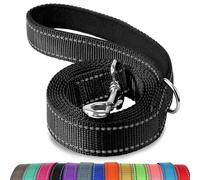 Joytale Correa para Perro Reflectante de Doble Cara, Correa para Perros con Mango Acolchado, Correa de Adiestramiento para Perros Grandes y Medianos, 120×2.5cm, Negro