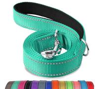 Joytale Correa para Perro Reflectante de Doble Cara, Correa para Perros con Mango Acolchado, Correa de Adiestramiento para Perros Grandes y Medianos, 150×2.5cm, Turquesa