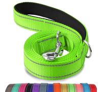 Joytale Correa para Perro Reflectante de Doble Cara, Correa para Perros con Mango Acolchado, Correa de Adiestramiento para Perros Grandes y Medianos, 120×2.5cm, Verde
