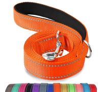 Joytale Correa para Perro Reflectante de Doble Cara, Correa para Perros con Mango Acolchado, Correa de Adiestramiento para Perros Grandes y Medianos, 180×2.5cm, Naranja