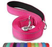 Joytale Correa para Perro Reflectante de Doble Cara, Correa para Perros con Mango Acolchado, Correa de Adiestramiento para Perros Pequeños y Perrito, 180×2cm, Rosa Caliente