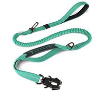 Joytale Correa para Perro táctico, Correa elástica amortiguadora de 1,2-1,8 m con 2 Asas Acolchadas, cinturón de Seguridad del Coche, Correa Fuerte para Perros medianos Grandes X-Grande, Cerceta