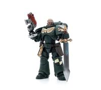 Joytoy (CN) Warhammer 40k Figura 1/18 Dark Angels Intercesores Hermano Nadael 12 cm