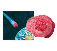 Joywave Brain Damage Picture Single (Vinyl) (Importación USA)