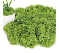 JOZMMZEOOA 100g Musgo Artificial Decoracion,Falso Musgo Decorativa Artesanal Moss Sintético Plantas Artificiales Simulación Musgo Natural,para Plantas en Macetas y Acuario Decoración (Verde Chiaro)