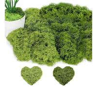 JOZMMZEOOA Musgo Artificial Decoracion 100g Verde Scuro+Verde Chiaro Diferentes Falso Musgo Natural Simulación Suave Moss Artesanal Sintético Planta Decorativa Reutilizable,Acuario Decora