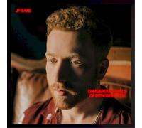 JP Saxe - Dangerous Levels Of Instrospection [Vinilo]