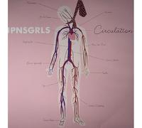 Jpnsgrls - Circulation