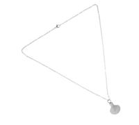 JPXXFM Collar de urna para cenizas para mascotas, colgante de concha conmemorativa, collar de urna pequeño de acero inoxidable para cenizas humanas de mascotas