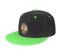 JQQJZLC Juego de Cubierta de la Cubierta nórdica de la Cubierta de la Franela de Leche, Cubierta núcruca de 4 Piezas súper Suave Transpirable, Cubierta de Dudas de Franela de Confort de Lujo con