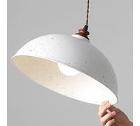 JQQJZLC Lámpara de Techo de lámpara de lámpara de Hierro Industrial Moderno Blanco