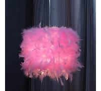 JQQJZLC Pequeña luz Colgante de Plumas, lámpara romántica de la habitación Moderna de Plumas, lámpara de Techo Decorativo de la lámpara de Plumas de Arte para Dormitorio en casa