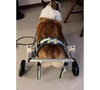 JQQJZLC Silla de ruedas de aluminio ajustable para mascotas, de 2 ruedas, para rehabilitación, patas traseras, fácil de montar