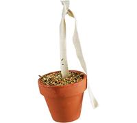 JR FARM Birds Orinal de Barro Periquito & Canarios 80 g