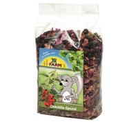 JR Farm Chinchilla Especial 500gx6