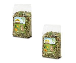 JR Farm Festín de Degú | Paquete Doble | 2 x 800 g | Alimento Completo para degús | Una Mezcla de Semillas Silvestres y proteínas Animales | con vitaminas y minerales