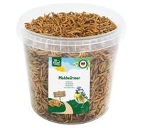 JR Farm 400g gusanos de harina para aves silvestres cubo