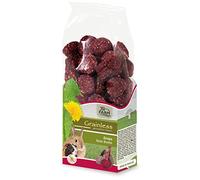 JR FARM Grainless Drops Remolacha 140 g