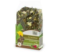 JR Farm Grainless Mix Degu 650gx6