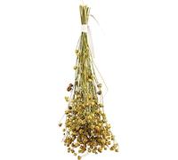 JR FARM Linaza de Lino 30 g