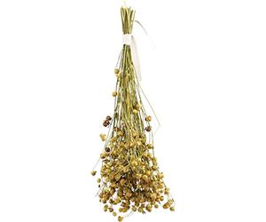 JR Farm Linaza de Lino 30 g