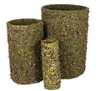 JR FARM Rollo de Primavera Grande 750 g