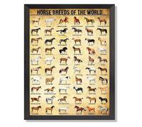 JRBJWYVV Horse Breeds of the World Chart, Vintage Educational Wall-Art for Animal Lovers, Study & Country Home(Framed,08x12inch(20x30cm))