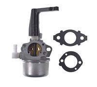 JRL 696065 - Carburador de repuesto con kit de juntas para 110412-0211-E1 110402-0206-E1 215369 Motor