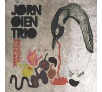 Jørn Øien Trio - Jørn Øien Trio : Digging in the dark