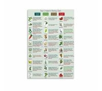 JRXFXEKW Garden Companion Planting Chart - Vegetable & Herb Planting Guide Reference(Unframed,12x18inch(30x45cm))