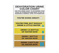 JRXFXEKW Hydration Level Chart Poster - Urine Color Guide and Body Hydration Reference on Canvas, Wall-Art for Spaces(Framed,16x24inch(40x60cm))