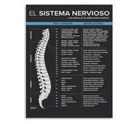 JRXFXEKW Spine Anatomy Metal Sign Cervical Thoracic Lumbar Sacral Coccyx Nerve Root Distribution Guide for Health Science Student Study Corner Decor 8 X 12 inch