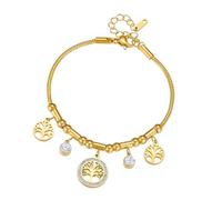 JSGHGDF Elegante cadena de acero ajustable con circonita cúbica para mujer, joyería simbólica de acero