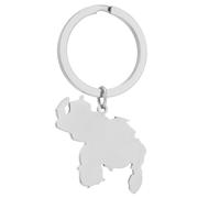 JSGHGDF Elegante llavero de mapa de Venezuela de acero inoxidable, llavero de mapa de Venezuela, recuerdo perfecto para la cultura del viajero, plata, talla única