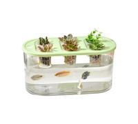 JSGHGDF Home Horticultures - Contenedor hidropónico que añade atractivo estético y práctico cultivo de plantas a interiores, caja de jardinería transparente